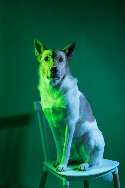 Key points to remember: