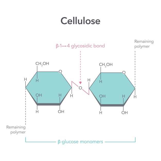 Key Differences in Chemical Structures