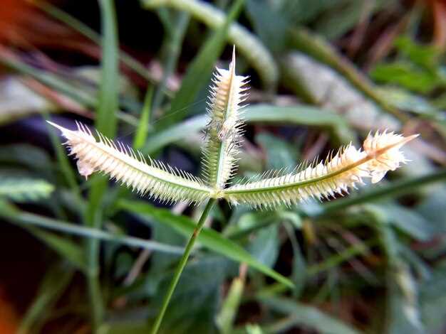 Positive Effects on Mental Health