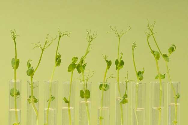 Enhanced Patient Compliance