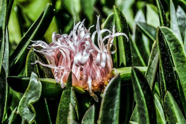 2. Enhanced Quality of Life