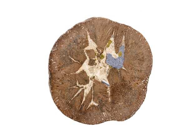 Usage and Dosage Recommendations