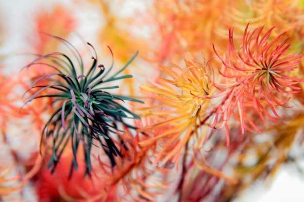 2. Fewer Side Effects