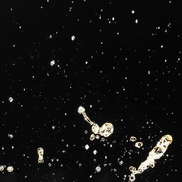 Impact of Alcohol on Body