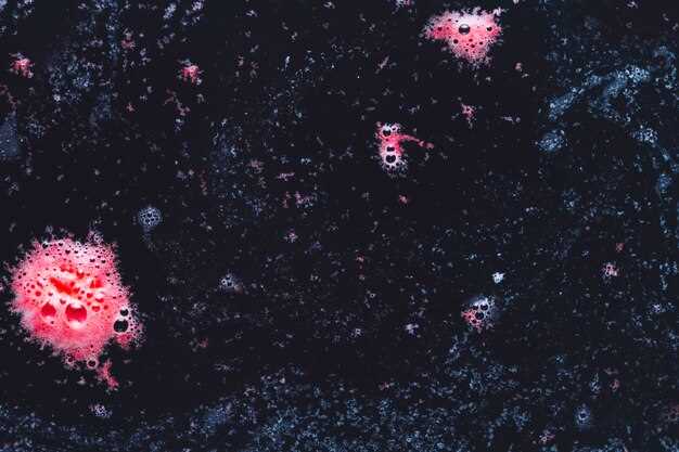 Research Focus Areas: