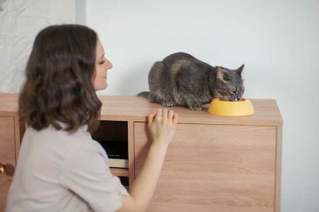 The Benefits of Famotidine for Cats