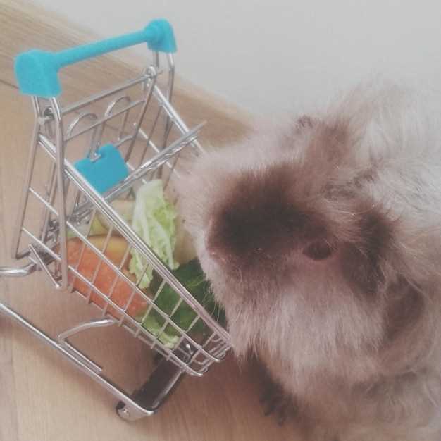 Administration Tips: