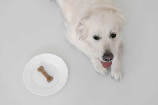 Signs of Pancreatitis