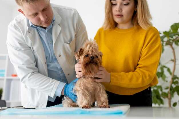 Famotidine side effects canine