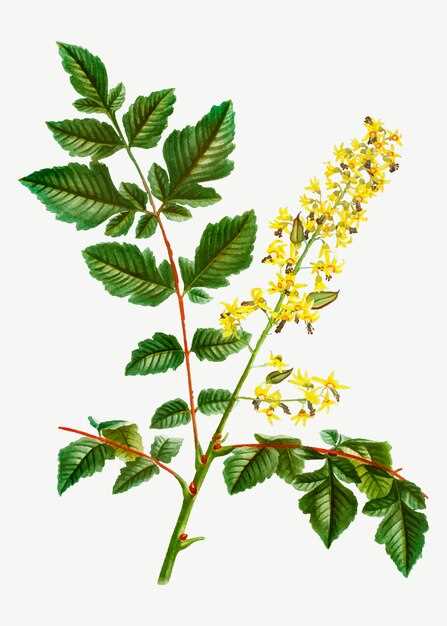 Benefits of Improved Heart Health: