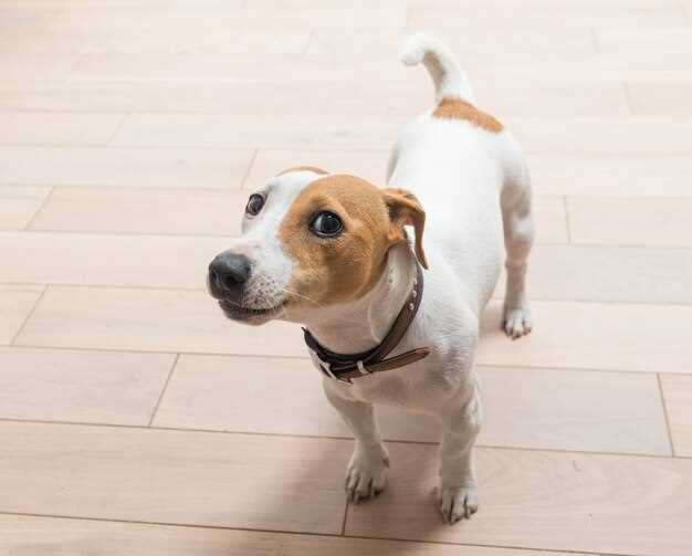 Monitoring and Consultation