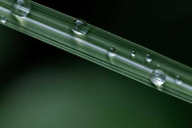 Great Value for Your Money