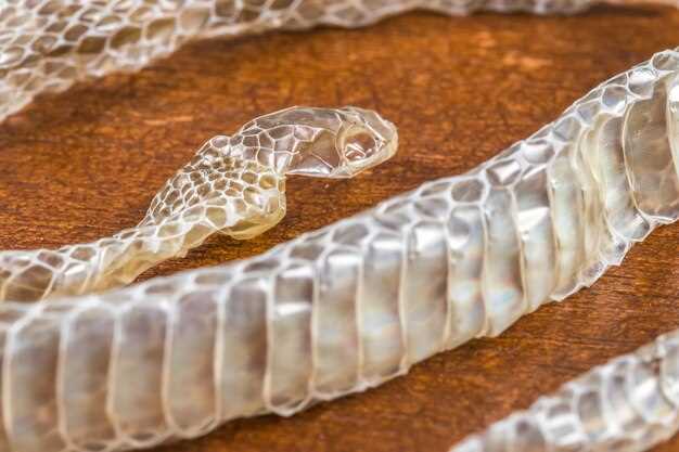 Interactions with Other Drugs