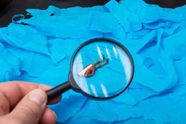 Pregnancy and breastfeeding